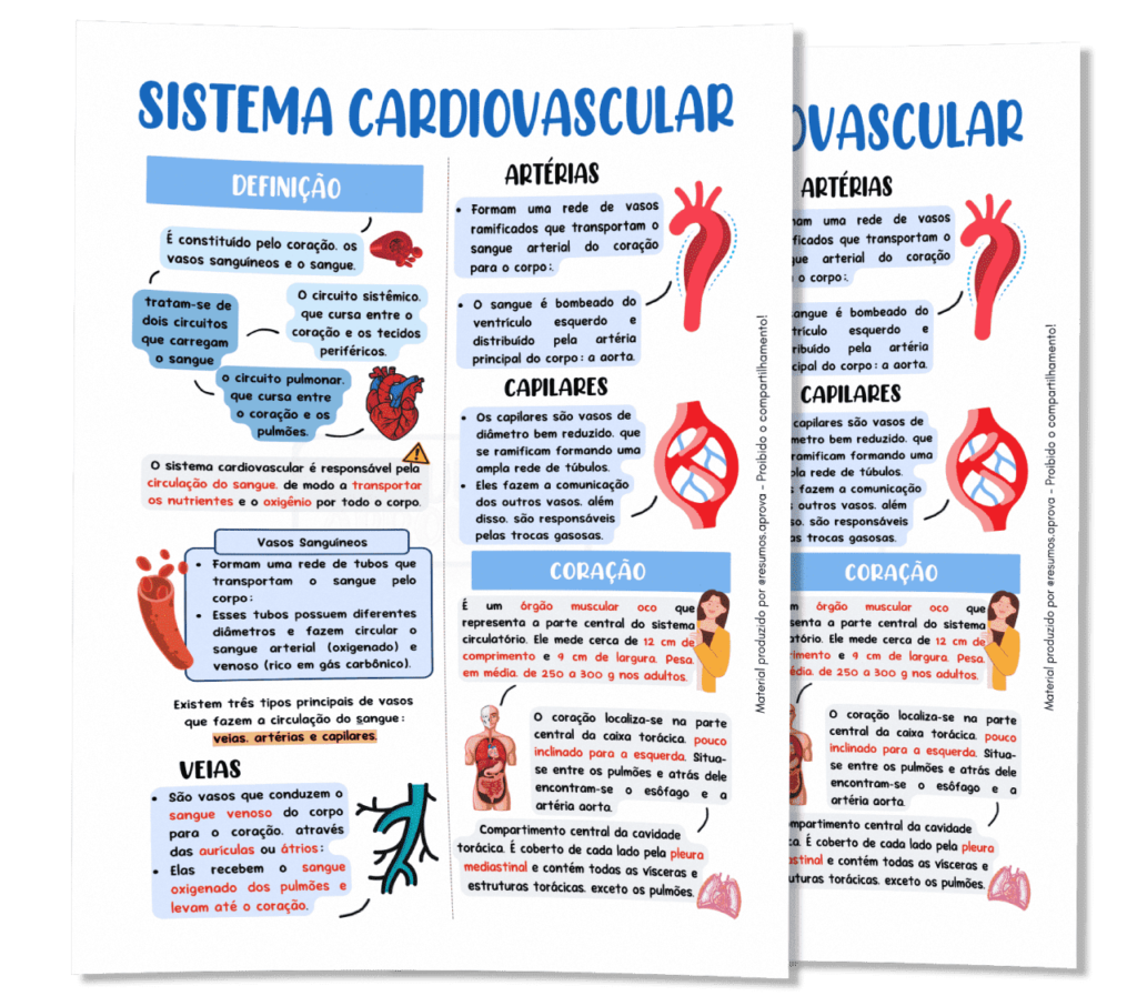 Resumos De Anatomia Humana – Resumos Aprova