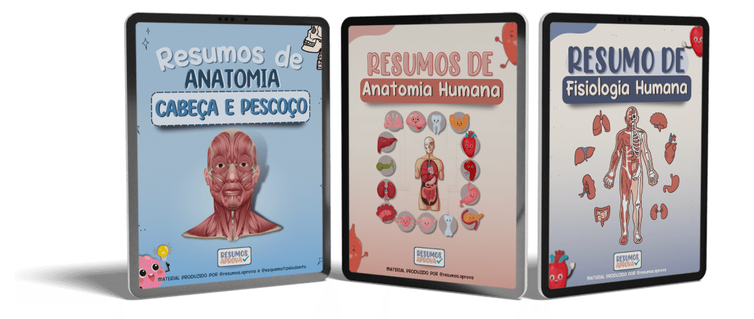 Resumo De Anatomia Humana, Resumos Anatomia