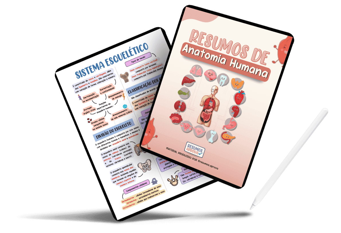 Mockup do Resumo de Anatomia Humana em tablet